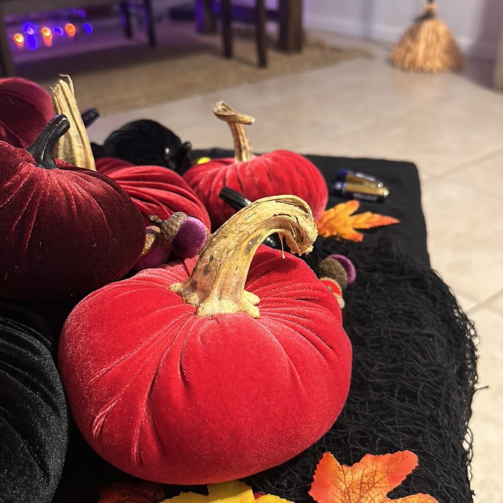 Velvet Pumpkins. - Picture 7 of 13